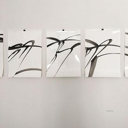 Fotoğraf Kağıtları